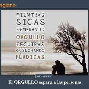 Meet your Posher, Rosa